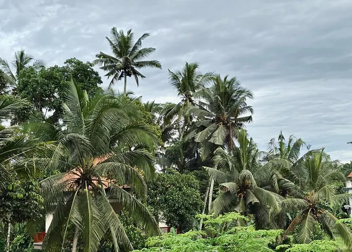 Umah Made Bali & Art Space With Kitchen Ubud