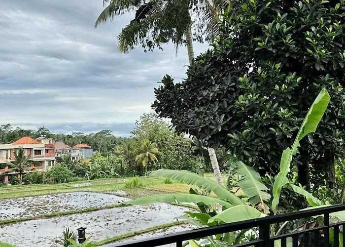 Umah Made Bali & Art Space With Kitchen * Ubud
